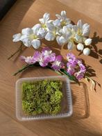 Sierbloemen en mos, Huis en Inrichting, Ophalen