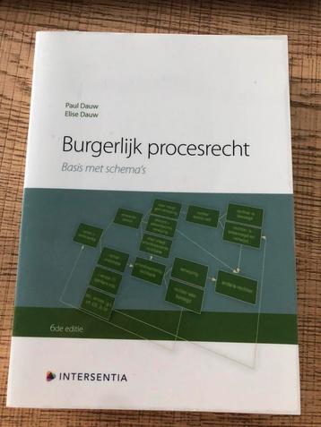 Paul Dauw - Burgerlijk procesrecht (zesde editie) beschikbaar voor biedingen