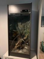 Terarium kamelion / gekko /…, Ophalen