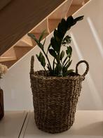 Mand van zeegras