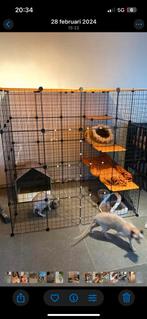 Kattenren 140x140 cm., Dieren en Toebehoren, Katten-accessoires, Ophalen, Zo goed als nieuw