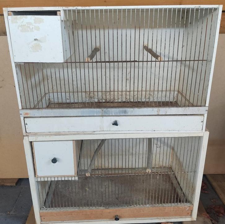 Kweekkooi broedkooi, Dieren en Toebehoren, Vogels | Hokken en Kooien, Gebruikt, Broedkooi of Kweekkooi, Hout, Ophalen