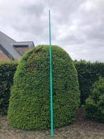 Windsurf mast en mastvoet, Mast, Gebruikt, Ophalen