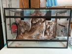 Prachtig terrarium, Dieren en Toebehoren, Ophalen of Verzenden, Zo goed als nieuw