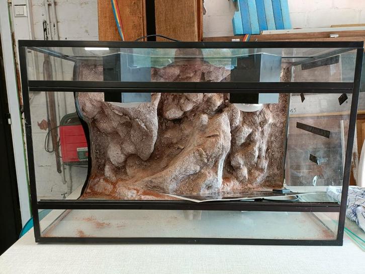 Prachtig terrarium, Dieren en Toebehoren, Reptielen en Amfibieën | Toebehoren, Zo goed als nieuw, Ophalen of Verzenden