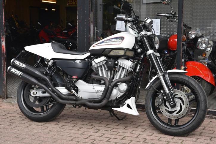 HARLEY DAVIDSON XR1200 ***MOTOVERTE.BE***, Motoren, Motoren | Harley-Davidson, Bedrijf, Chopper, 2 cilinders, Ophalen