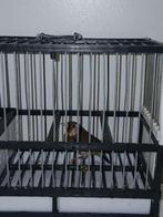 Chardonerets, Enlèvement, Comme neuf, Autres matériaux, Cage à oiseaux