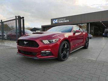 Ford Mustang Coupe 2.3 i 317pk Automaat Sport '17 99000km beschikbaar voor biedingen
