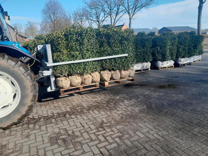 Verzinkte Dubbele Kluitenlader, Doe-het-zelf en Bouw, Ladders en Trappen, Nieuw, Ladder, Minder dan 2 meter, Opvouwbaar of Inschuifbaar