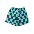 Zwembroek short geblokt groen zwart S, Kleding | Heren, Badmode en Zwemkleding, Verzenden, Maat 46 (S) of kleiner, Groen, Zwemshort