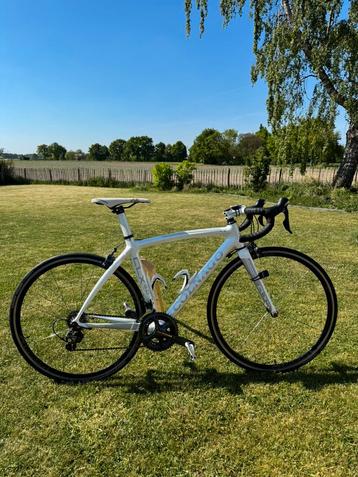 Colnago CLX 3.0 full carbon shimano Ultegra beschikbaar voor biedingen