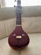Authentieke sitar met strijkstok, Ophalen, Gebruikt
