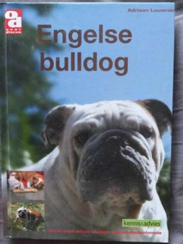 BOEK de Franse Buldog beschikbaar voor biedingen