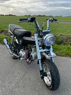 Dax 50cc, Fietsen en Brommers, Brommers | Honda, Ophalen, Overige modellen, Klasse B (45 km/u), Zo goed als nieuw