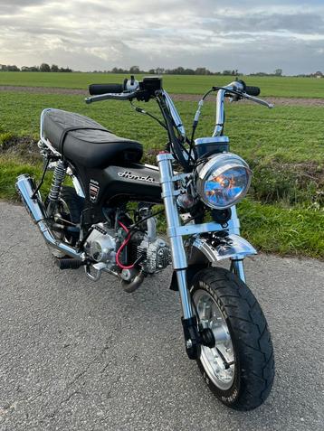 Dax 50cc beschikbaar voor biedingen