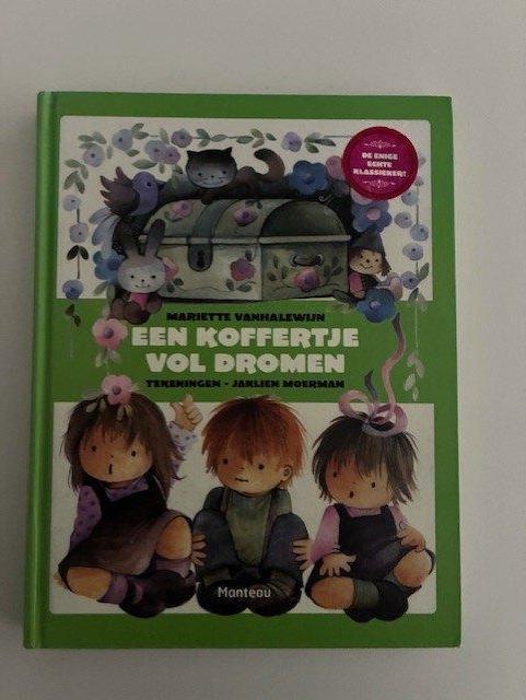 Een koffertje vol dromen - Mariette Vanhalewijn, Livres, Livres pour enfants | 4 ans et plus, Comme neuf, Contes (de fées), 4 ans
