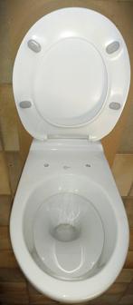 Hangtoilet merk Ideal, Ophalen, Gebruikt, Steen, Toilet