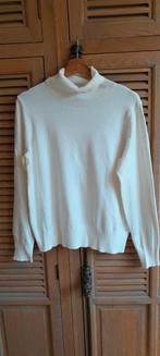 Prachtige Coltrui X.L., H&M, Ophalen of Verzenden, Nieuw