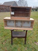 Kweekkooien, Dieren en Toebehoren, Ophalen, Gebruikt, Hout, Broedkooi of Kweekkooi