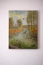 Tableau signé E. Moens – 1986 – paysage avec canards, Antiek en Kunst, Kunst | Schilderijen | Abstract, Ophalen of Verzenden