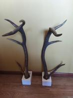 Hertengewei 6 ender, Ophalen