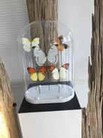 Stolp van Witte Gelen, Ophalen, Zo goed als nieuw, Insect, Overige typen