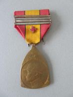 WO1 herrineringsmedaille vd veldtocht , rode kruis, Verzamelen, Verzenden, Overige soorten, Lintje, Medaille of Wings