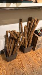 Mosstokken vanaf 4€, Enlèvement, Comme neuf