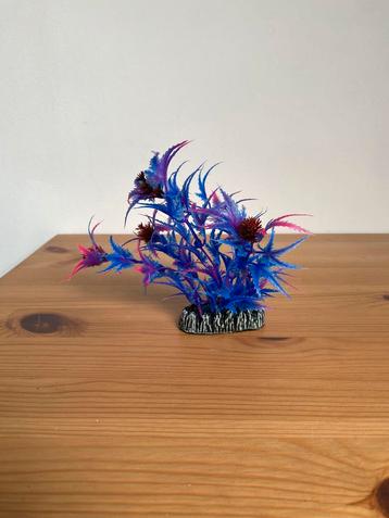 Aquarium decoratie beschikbaar voor biedingen