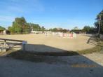 Thuisruiter flatrider, Dieren en Toebehoren, Paarden, ZZ