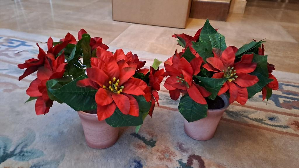 Namaak kerstrozen, Ophalen