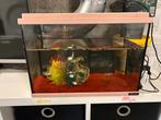 Klein aqarium, Dieren en Toebehoren, Vissen | Aquaria en Toebehoren, Ophalen, Gebruikt