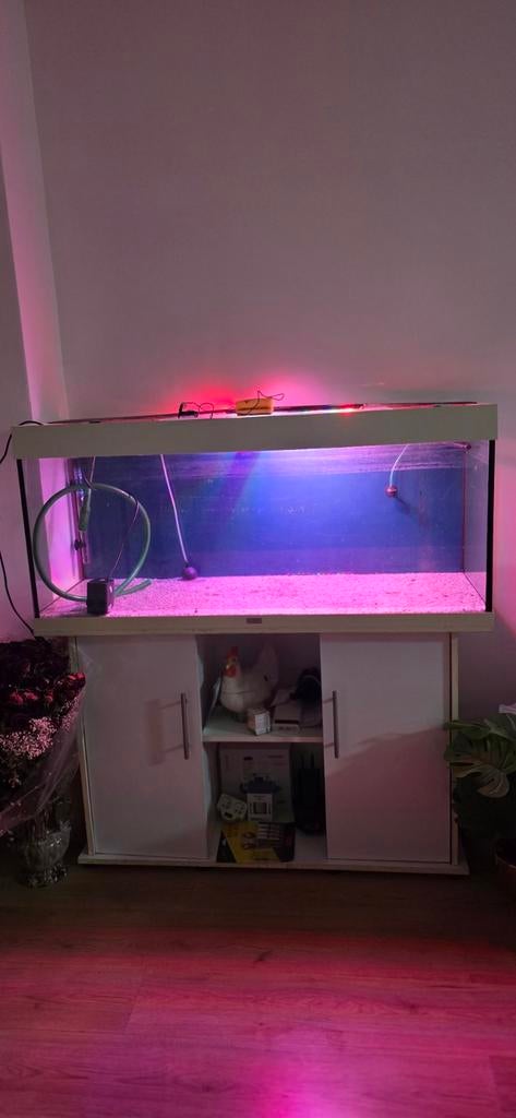 Aquarium, Dieren en Toebehoren, Vissen | Aquaria en Toebehoren, Decoratie, Verwarming, JBL, Ophalen of Verzenden