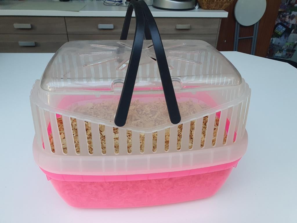 Boîte de transport pour petits rongeurs, Animaux & Accessoires, Enlèvement