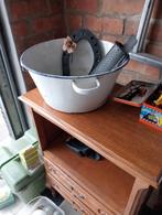 Antieke kom, Ophalen of Verzenden