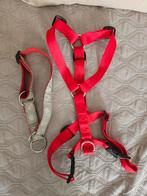 Harnas en halve strop band voor middelgrote hond, Enlèvement