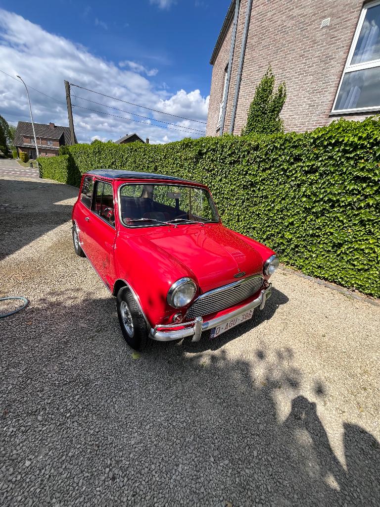 Mini Cooper MK1, Particulier, Essence, Achat, Cooper