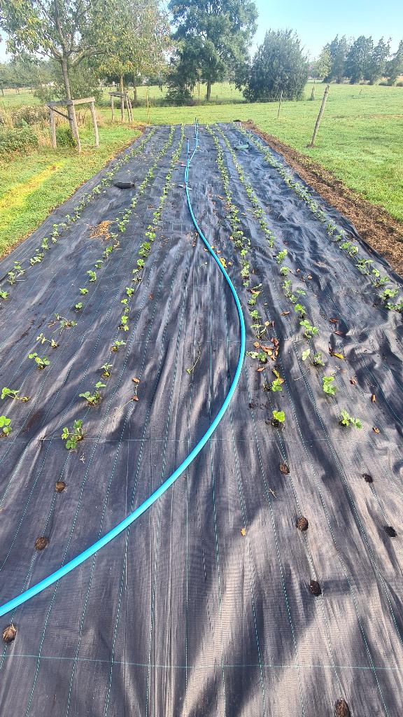 sproeiers en PE-buizen (32 mm), Zakelijke goederen, Landbouw | Werktuigen, Bollenteelt, Fruitteelt, Serretuinbouw, Overige typen