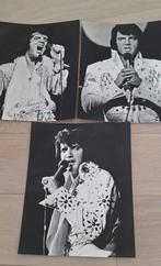 Lot zwart wit foto's Elvis Presley geprinte handtekening, Verzamelen, 1960 tot 1980, Foto, Ophalen of Verzenden, Zo goed als nieuw