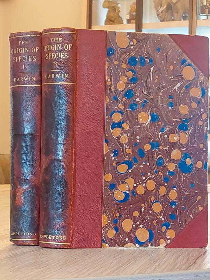 Origin of Species by means of Natural Selection 1895/ 1896, Antiek en Kunst, Antiek | Boeken en Manuscripten, Ophalen of Verzenden
