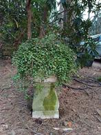 stenen ornament, Tuin en Terras, Planten | Bomen, Ophalen