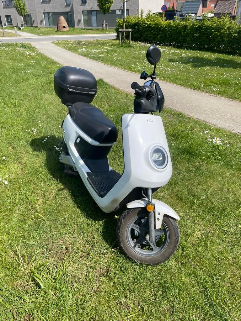 Niu elektrische scooter klasse b, Ophalen, Gebruikt, Elektrisch, Klasse B (45 km/u)