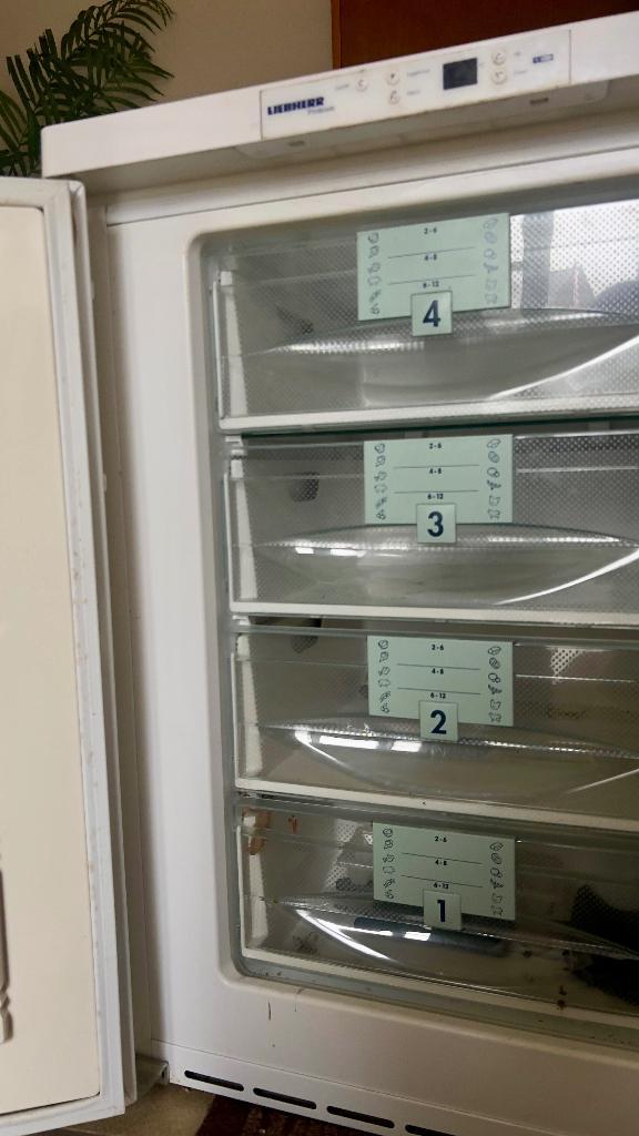 Liebherr Premium Vrieskast met 4 lades, Electroménager, Congélateurs, Utilisé, Autoportant, Congélateur, Congélateur, 85 à 120 cm