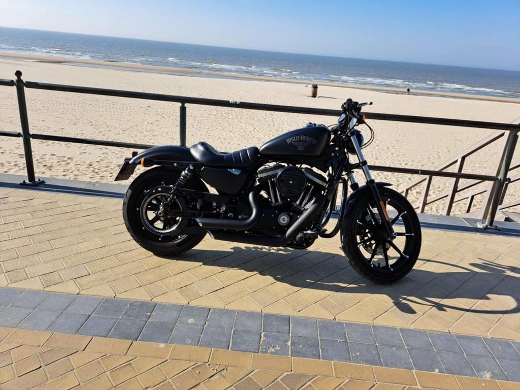 Harley davidson iron 883 état neufs neufs 8900euro, Motoren, Motoren | Harley-Davidson, Particulier