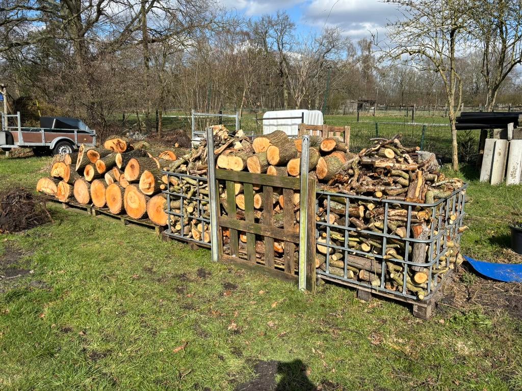 Brandhout 5 kuub vers, 2 kuub droog + paletten, 6 m³ ou plus, Enlèvement, Autres essences de bois, Bûches