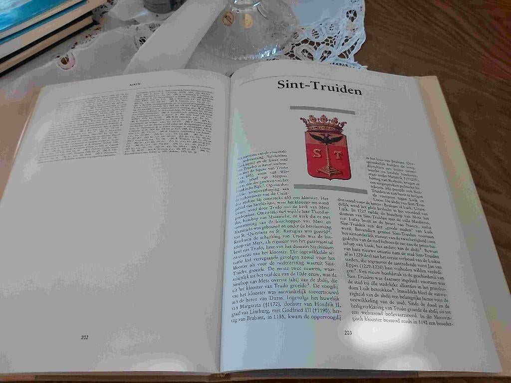 Limburg Vlaanderen Stad Tongeren Hasselt Borgloon Truiden, Livres, Histoire & Politique, Envoi, 20e siècle ou après, Comme neuf