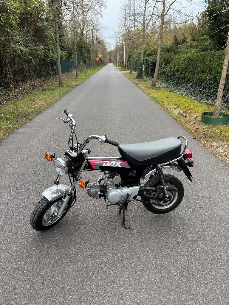 Honda Dax 50cc 100% origneel, Motos, Motos | Honda, Permis Moto A, Scooter, Jusqu'à 11 kW, 1 cylindre