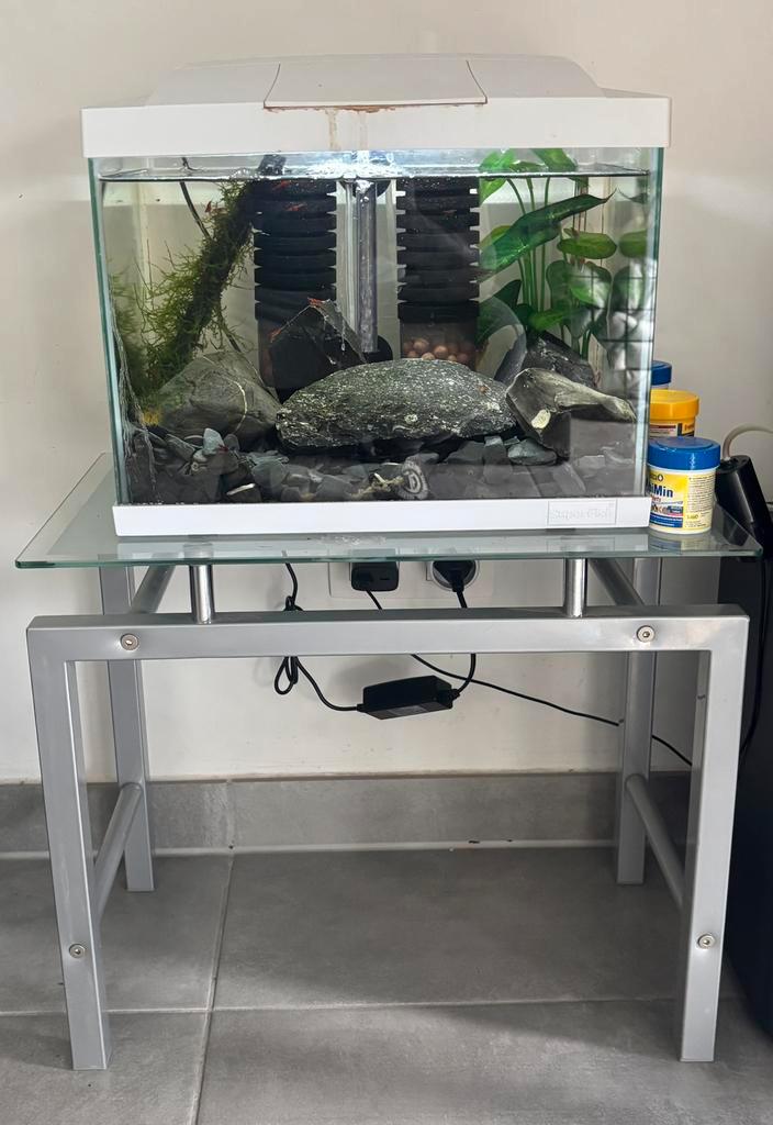 Aquarium set met Red Cherry garnalen + meubel, Dieren en Toebehoren, Vissen | Aquaria en Toebehoren, Zo goed als nieuw, Gevuld zoetwateraquarium
