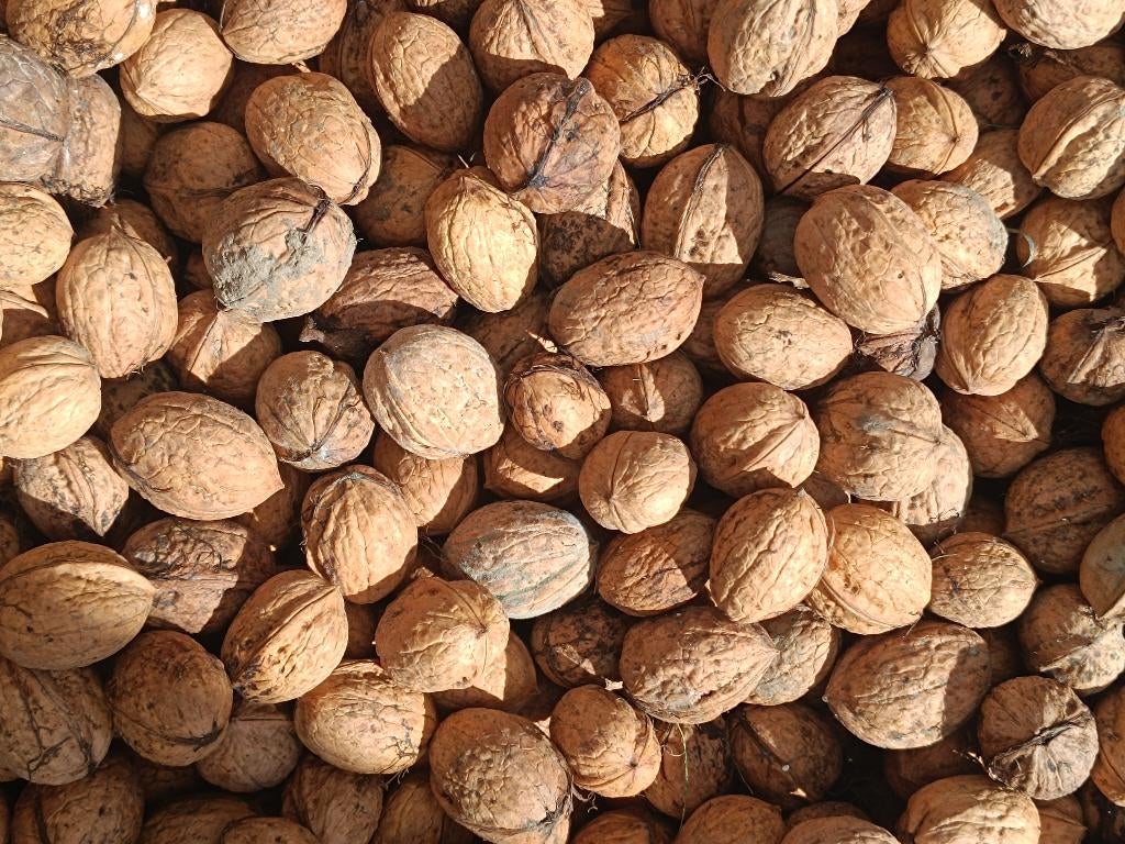 noix, Diversen, Ophalen