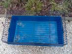 Cavia kooi, Cobaye, Moins de 60 cm, 75 à 110 cm, Cage